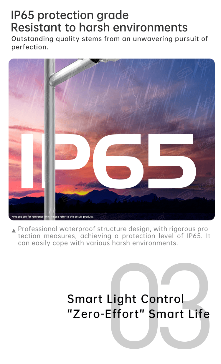 Solar Street Light Sunflower(Solar)-SL-CLX