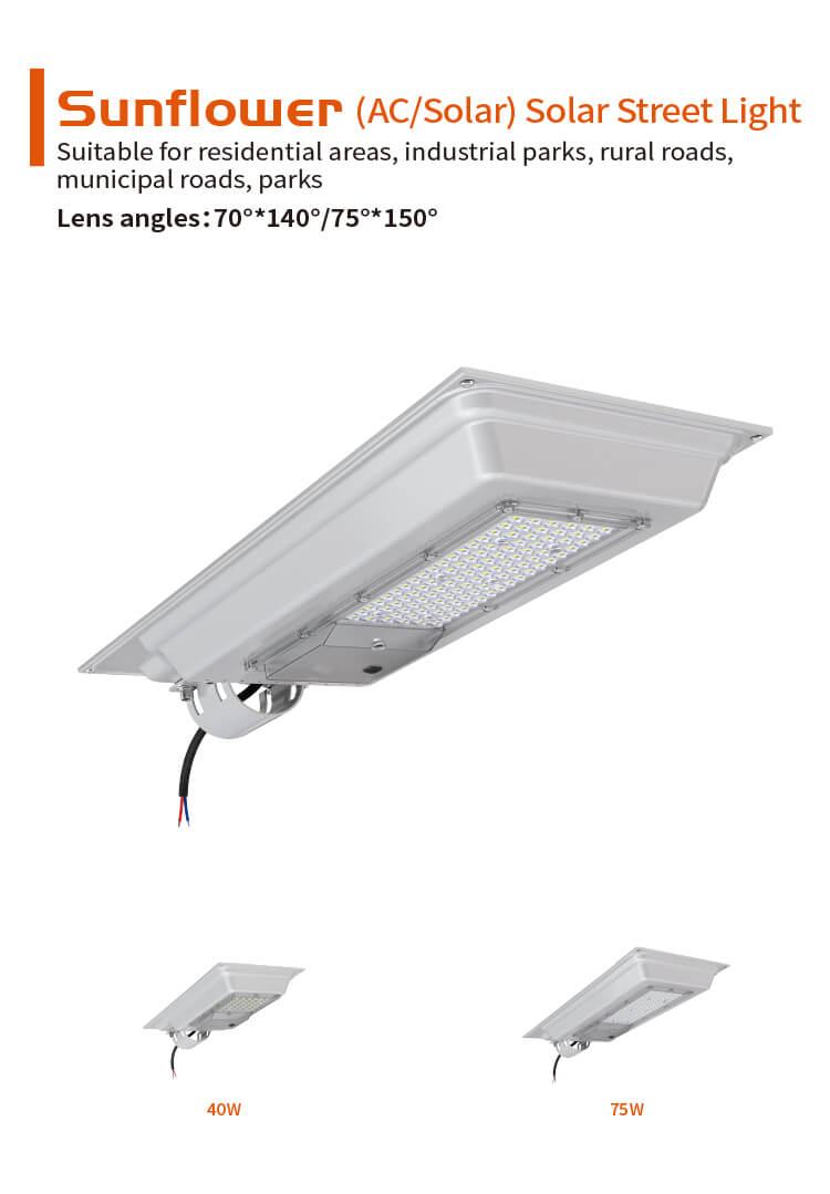 Solar Street Light Sunflower-LD-CLX