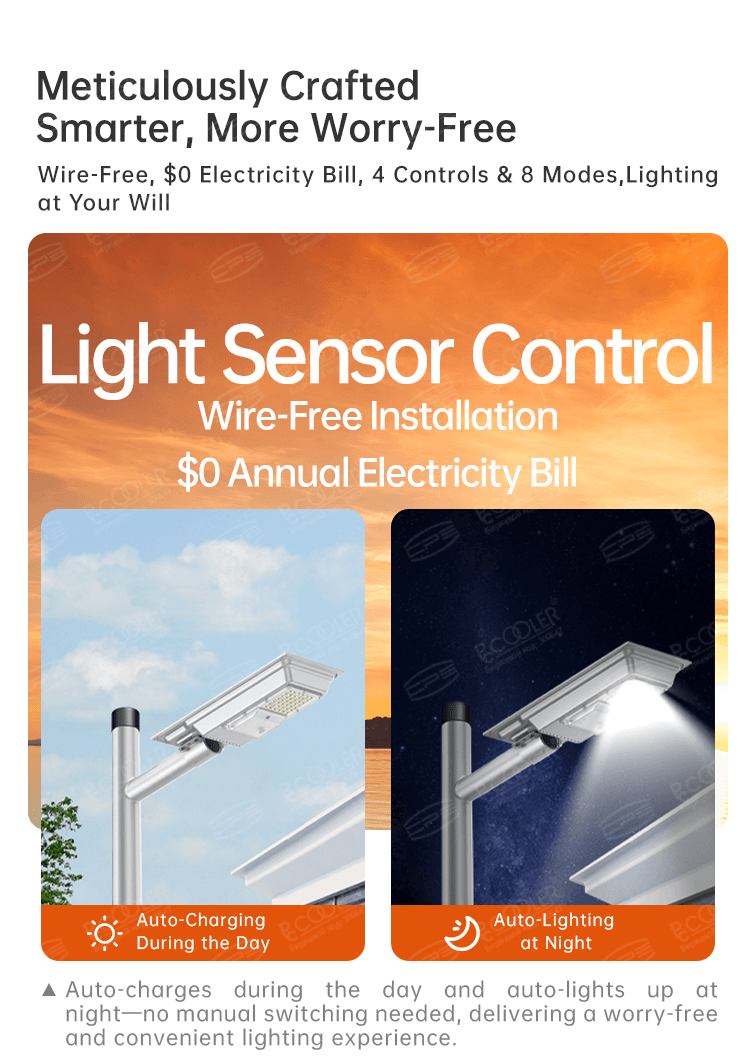 Solar Street Light Sunflower(Solar)-SL-CLX