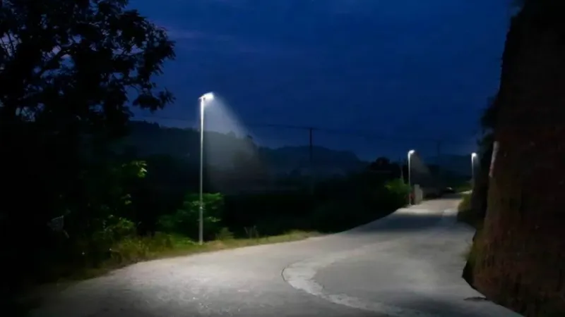 走进美丽新农村 点亮回家路 照亮归家心