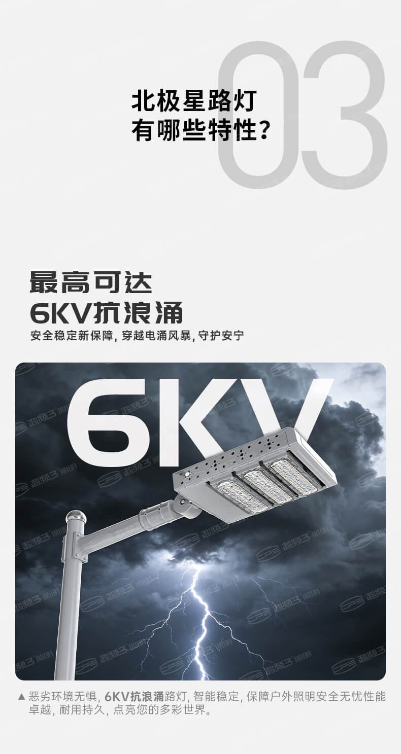 北极星路灯-LD-BJX
